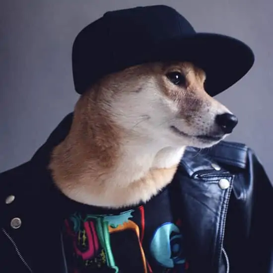 Modeblogs voor mannen - Menswear Dog