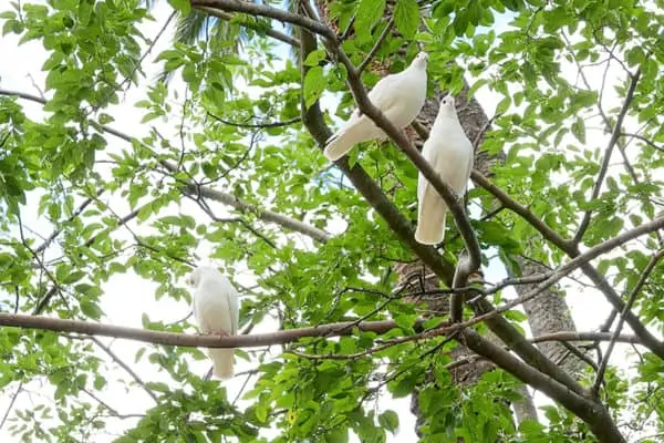 Sevilla 178 Beste reis 2017 - Sevilla