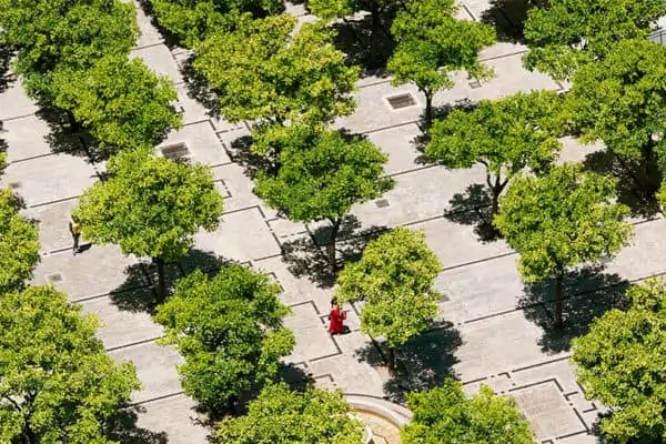 Sevilla 89 Beste reis 2017 - Sevilla