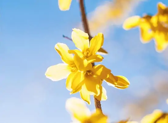De kinderlijke magie van Pasen - feelgood anekdote door Laurens M - via AGMJ - 1