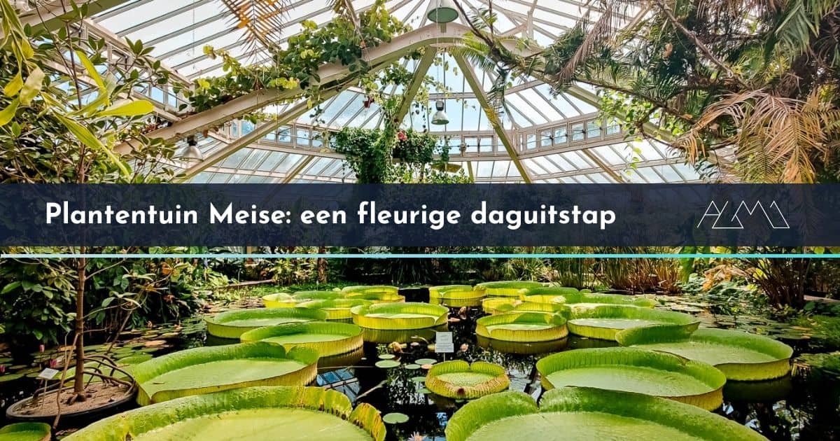 Plantentuin Meise Fleurige daguitstap naar een unieke botanische tuin